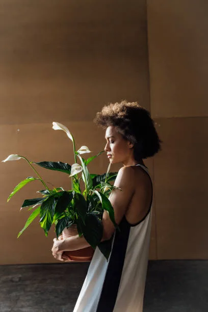 A woman holding a Peace Lily Plant in hands.